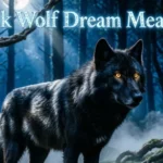 Black Wolf Dream Meaning