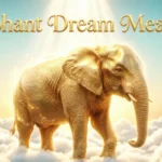 Elephant Dream Meaning
