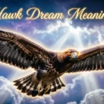 Hawk Dream Meaning