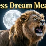 Lioness Dream Meaning