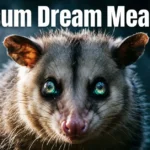 Possum Dream Meaning