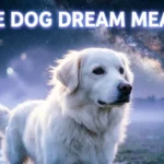 White Dog Dream Meaning