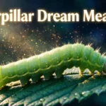 Caterpillar Dream Meaning