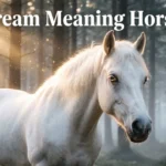 Dream Meaning Horse