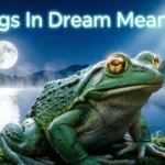 Frogs In Dream Meaning