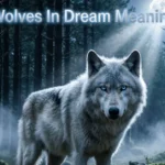 Wolves In Dream Meaning
