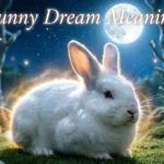 Bunny Dream Meaning
