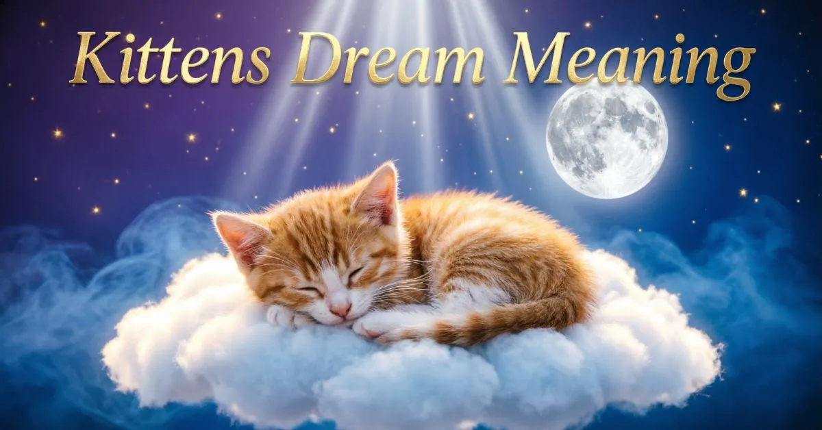 Kittens Dream Meaning