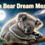 Koala Bear Dream Meaning