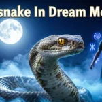 Rattlesnake In Dream Meaning