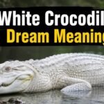White Crocodile Dream Meaning