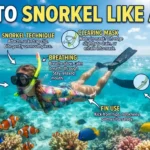 How to Snorkel